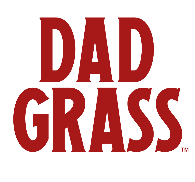 You are currently viewing Dad Grass